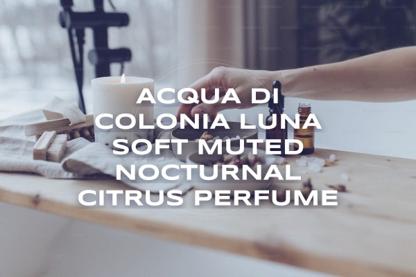 Acqua di Colonia Luna soft muted nocturnal citrus perfume