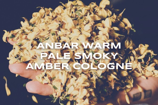 Anbar warm pale smoky amber cologne