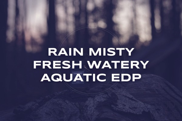 Rain misty fresh watery aquatic EDP