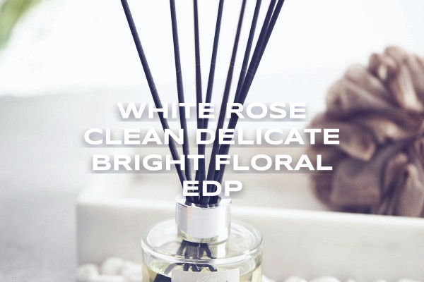 White Rose clean delicate bright floral EDP